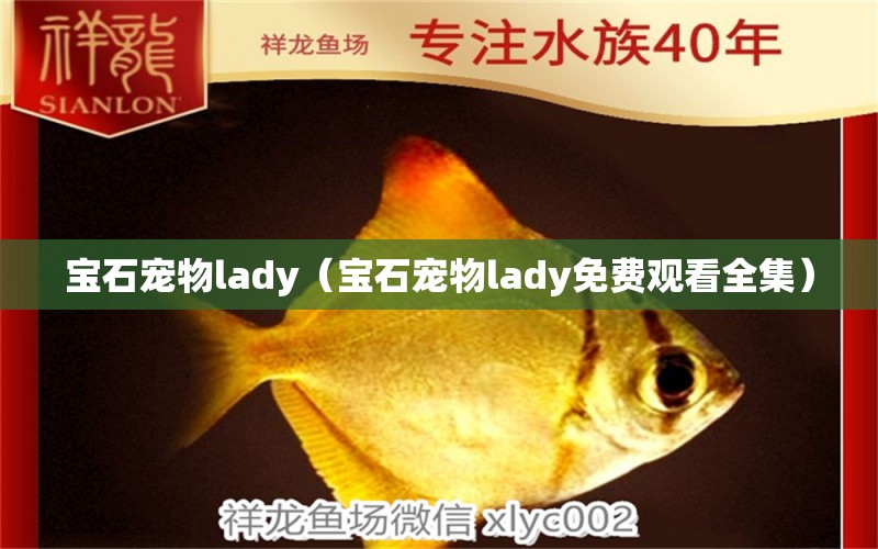 宝石宠物lady（宝石宠物lady免费观看全集） 文玩