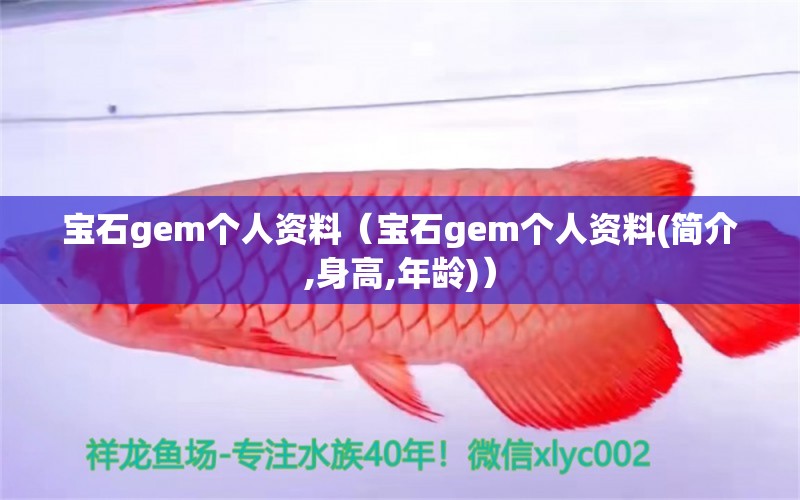 宝石gem个人资料（宝石gem个人资料(简介,身高,年龄)） 文玩