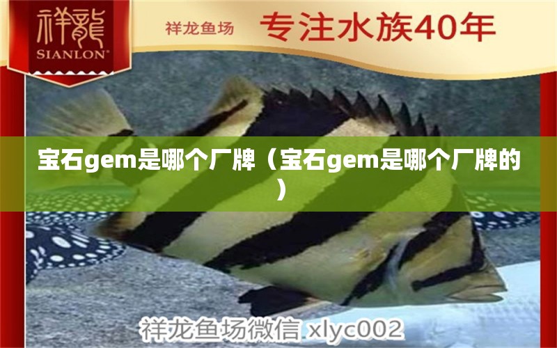 宝石gem是哪个厂牌（宝石gem是哪个厂牌的）