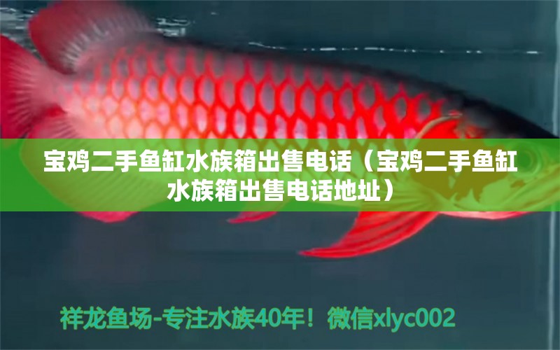 宝鸡二手鱼缸水族箱出售电话（宝鸡二手鱼缸水族箱出售电话地址）