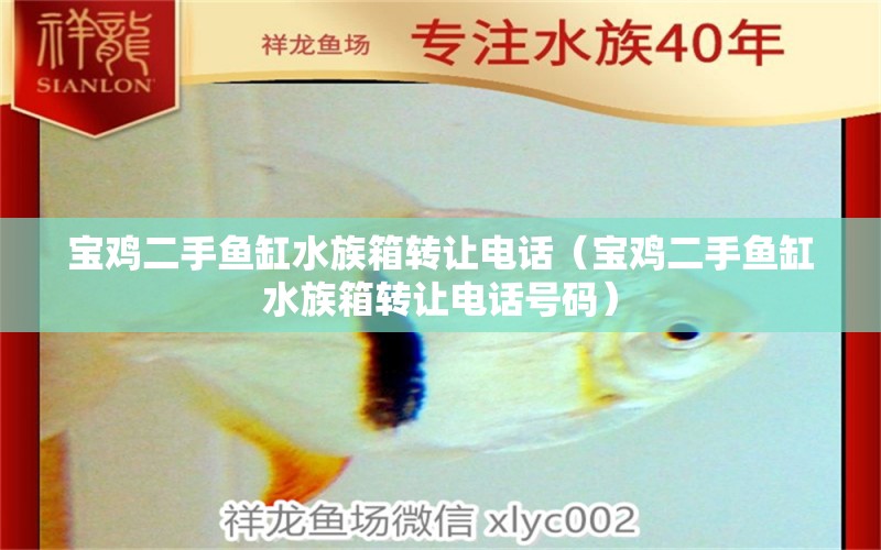 宝鸡二手鱼缸水族箱转让电话（宝鸡二手鱼缸水族箱转让电话号码）