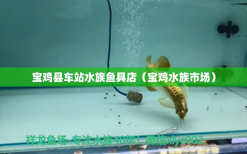 宝鸡县车站水族鱼具店（宝鸡水族市场） 全国水族馆企业名录
