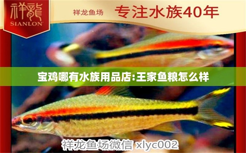 宝鸡哪有水族用品店:王家鱼粮怎么样