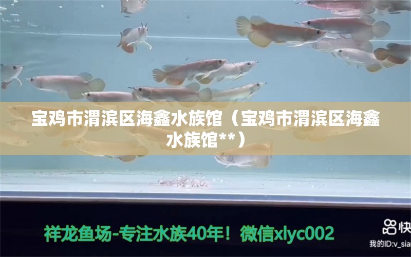 宝鸡市渭滨区海鑫水族馆（宝鸡市渭滨区海鑫水族馆**） 全国水族馆企业名录