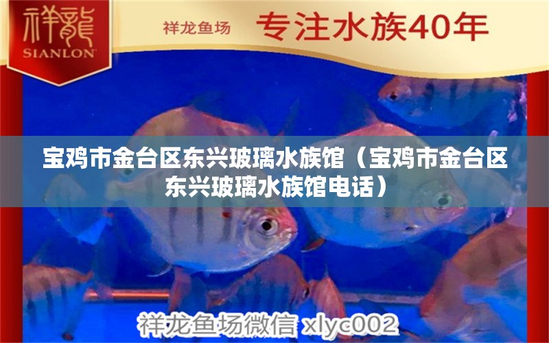 宝鸡市金台区东兴玻璃水族馆（宝鸡市金台区东兴玻璃水族馆电话） 全国水族馆企业名录