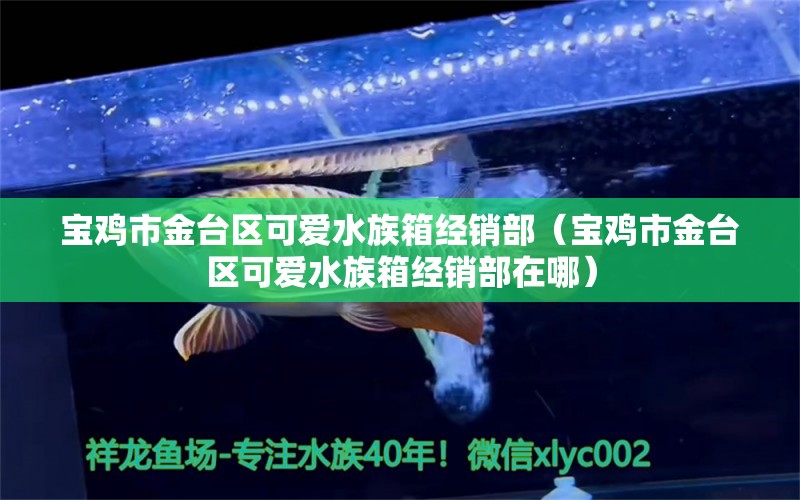 宝鸡市金台区可爱水族箱经销部（宝鸡市金台区可爱水族箱经销部在哪）