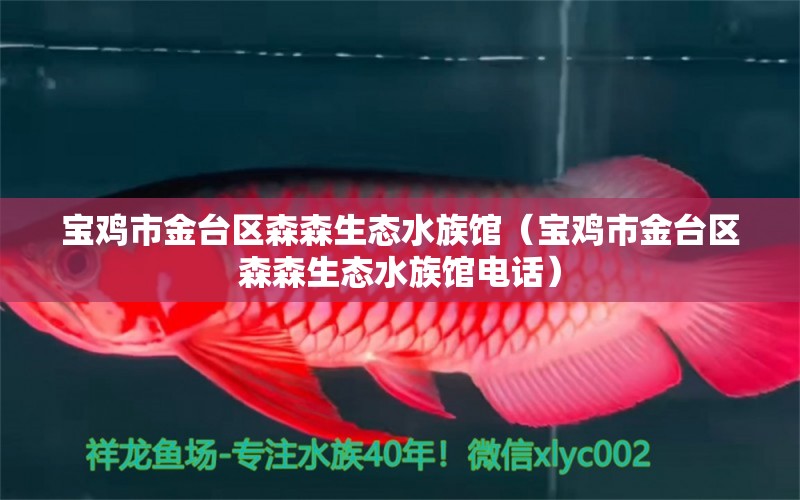 宝鸡市金台区森森生态水族馆（宝鸡市金台区森森生态水族馆电话） 全国水族馆企业名录