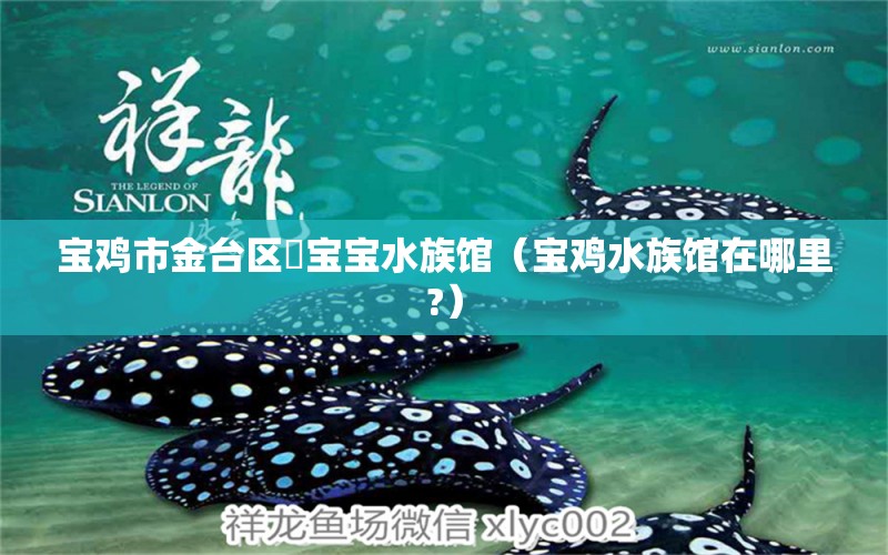 宝鸡市金台区袆宝宝水族馆（宝鸡水族馆在哪里?）