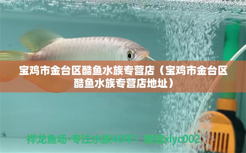 宝鸡市金台区酷鱼水族专营店（宝鸡市金台区酷鱼水族专营店地址）