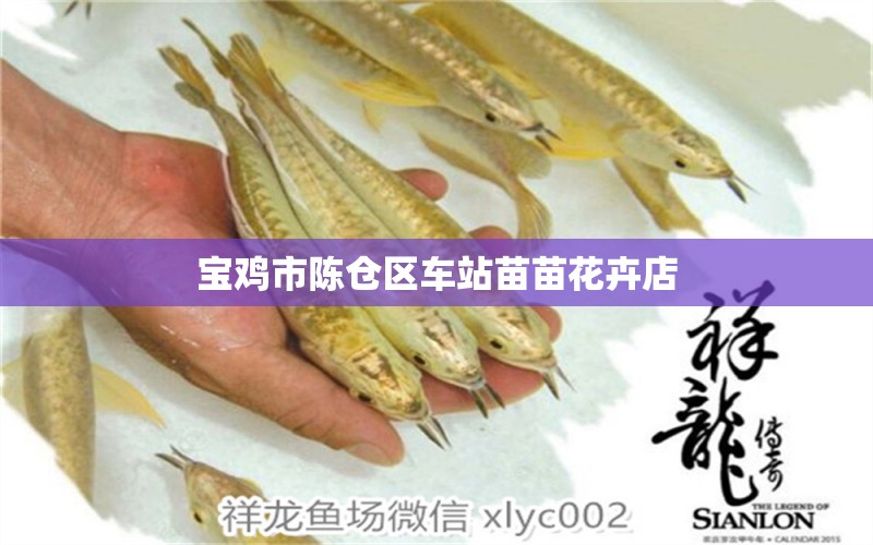 宝鸡市陈仓区车站苗苗花卉店 全国水族馆企业名录 第4张