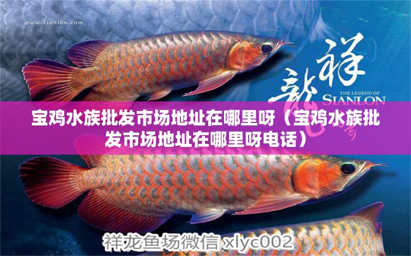 宝鸡水族批发市场地址在哪里呀（宝鸡水族批发市场地址在哪里呀电话） 观赏鱼水族批发市场