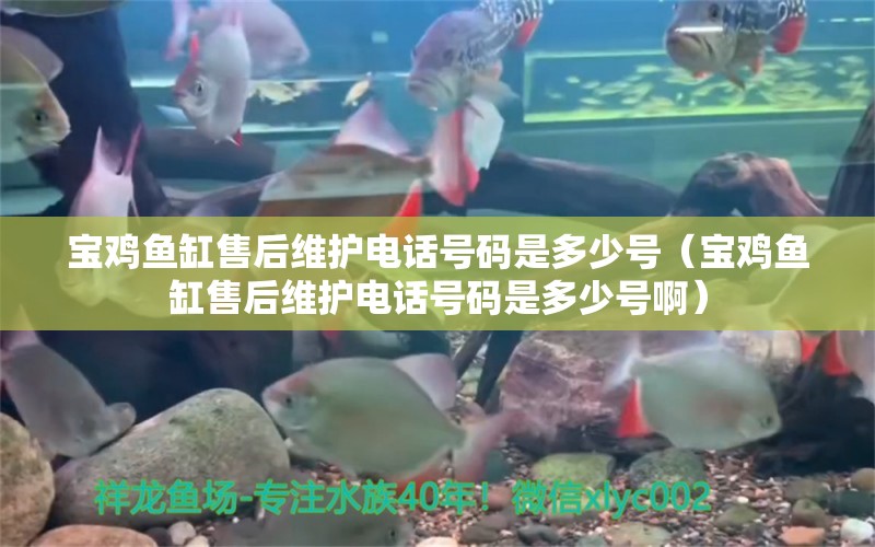 宝鸡鱼缸售后维护电话号码是多少号（宝鸡鱼缸售后维护电话号码是多少号啊） 其他品牌鱼缸