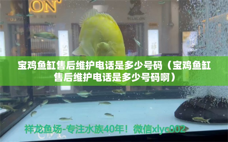 宝鸡鱼缸售后维护电话是多少号码（宝鸡鱼缸售后维护电话是多少号码啊）