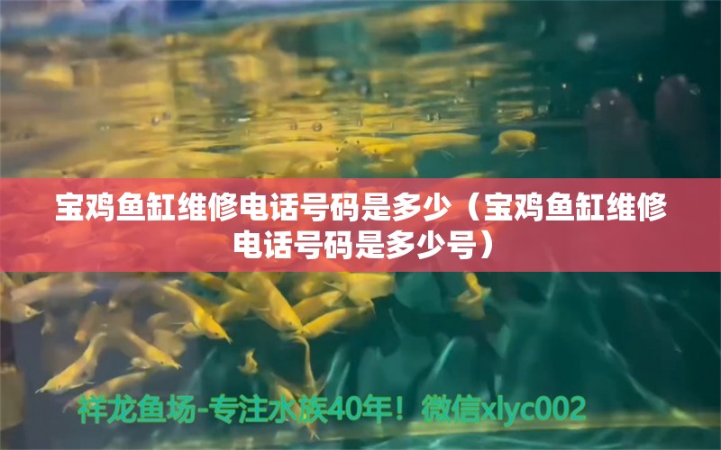 宝鸡鱼缸维修电话号码是多少（宝鸡鱼缸维修电话号码是多少号）