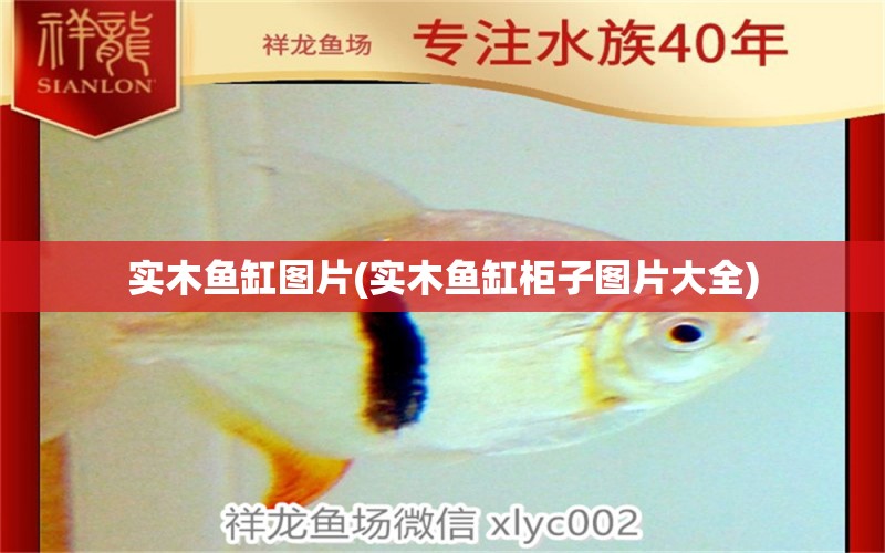 实木鱼缸图片(实木鱼缸柜子图片大全) 水族世界