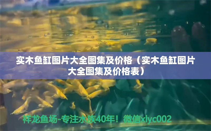 实木鱼缸图片大全图集及价格（实木鱼缸图片大全图集及价格表） 红勾银版鱼