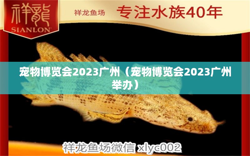 宠物博览会2023广州（宠物博览会2023广州举办）
