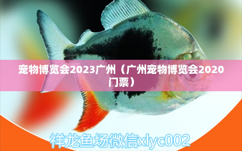 宠物博览会2023广州（广州宠物博览会2020门票） 观赏鱼