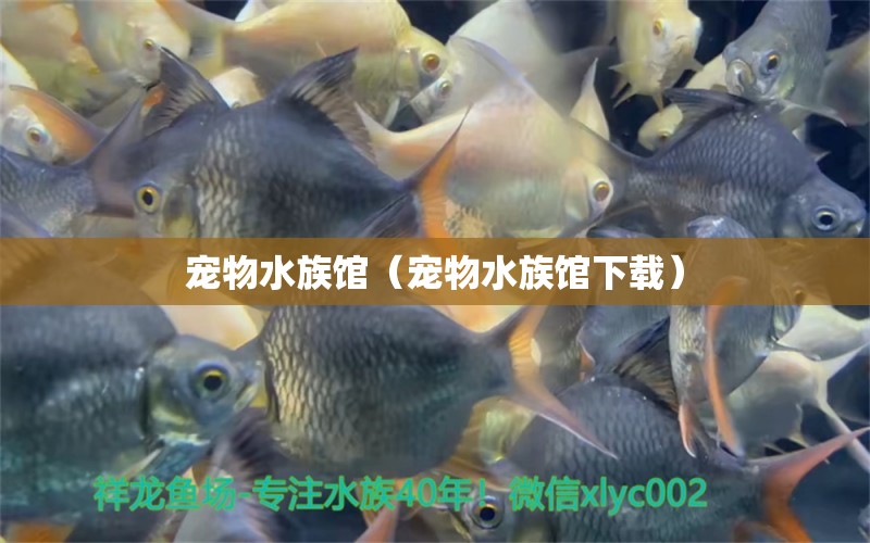 宠物水族馆（宠物水族馆下载）