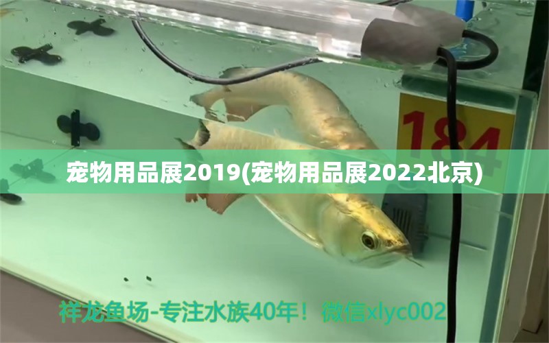 宠物用品展2019(宠物用品展2022北京)