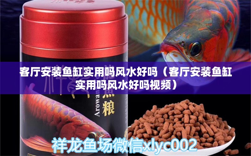 客厅安装鱼缸实用吗风水好吗（客厅安装鱼缸实用吗风水好吗视频） 鱼缸风水