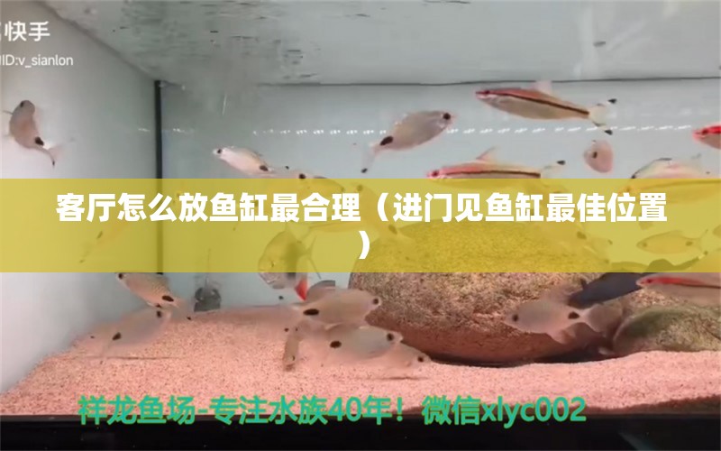 客厅怎么放鱼缸最合理（进门见鱼缸最佳位置） 杀菌消毒设备