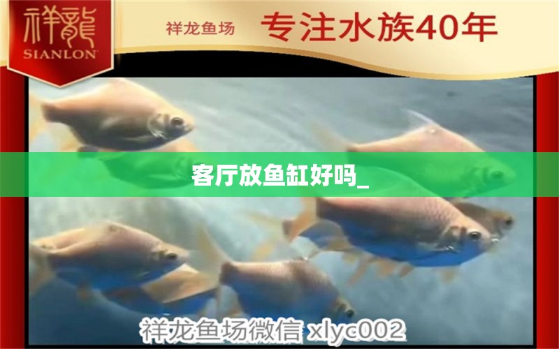 客厅放鱼缸好吗_ 水族问答 第2张