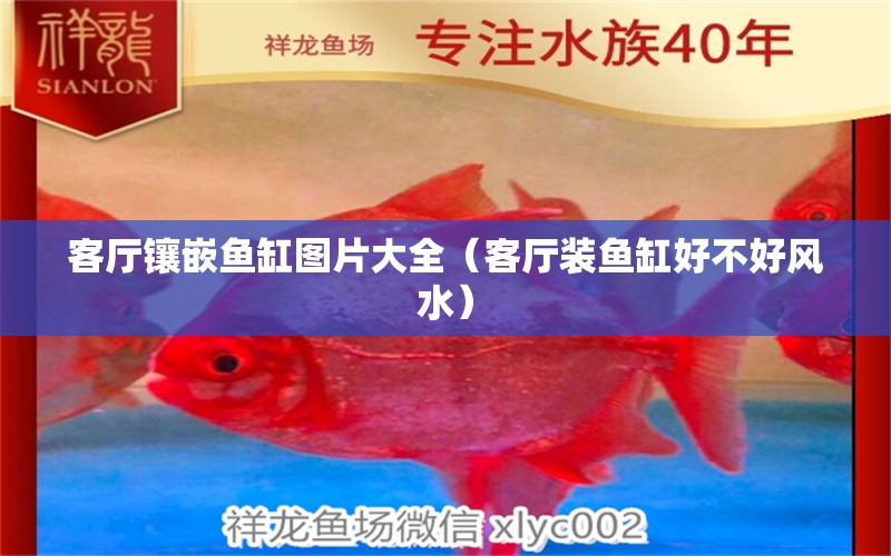 客厅镶嵌鱼缸图片大全（客厅装鱼缸好不好风水） 水族用品