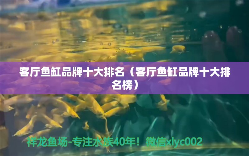 客厅鱼缸品牌十大排名（客厅鱼缸品牌十大排名榜） 黄宽带蝴蝶鱼