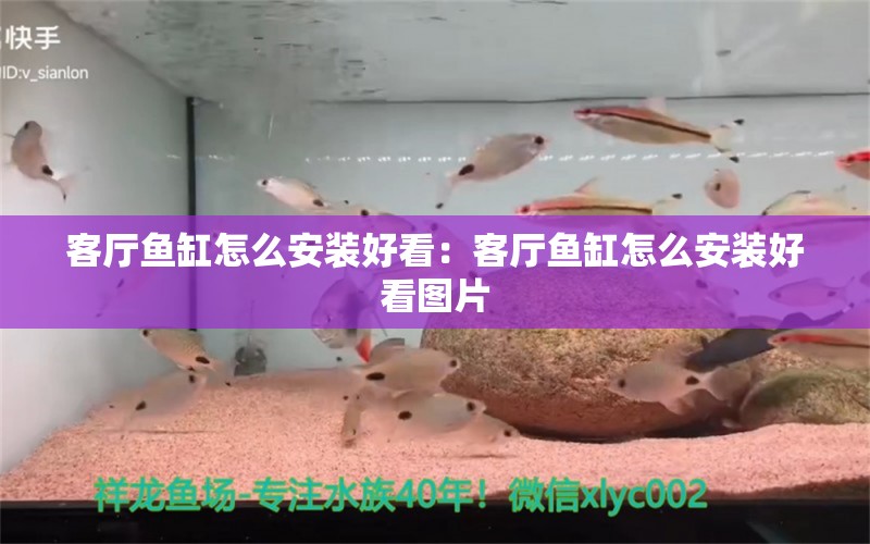 客厅鱼缸怎么安装好看：客厅鱼缸怎么安装好看图片