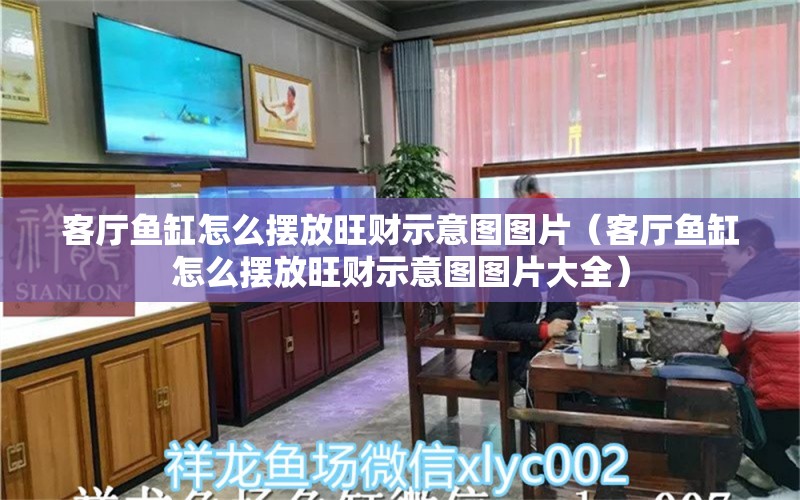 客厅鱼缸怎么摆放旺财示意图图片（客厅鱼缸怎么摆放旺财示意图图片大全）