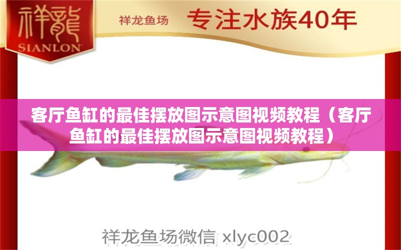 客厅鱼缸的最佳摆放图示意图视频教程（客厅鱼缸的最佳摆放图示意图视频教程）