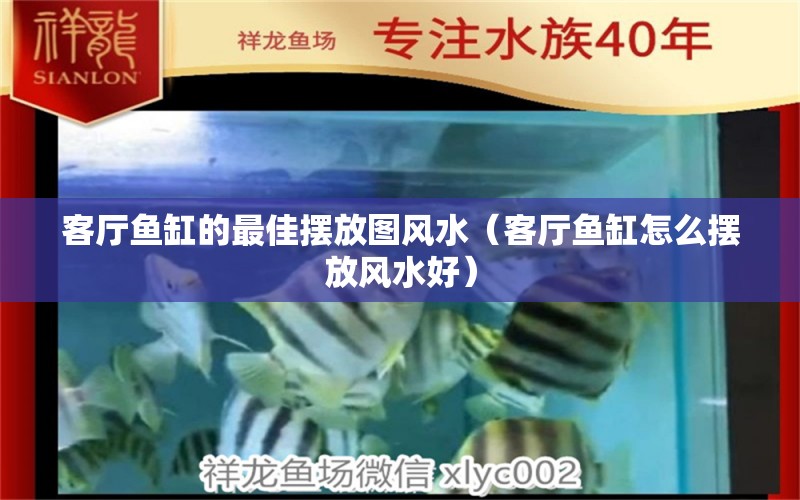 客厅鱼缸的最佳摆放图风水（客厅鱼缸怎么摆放风水好） 鱼缸风水