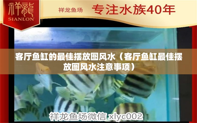 客厅鱼缸的最佳摆放图风水（客厅鱼缸最佳摆放图风水注意事项） 黄金斑马鱼