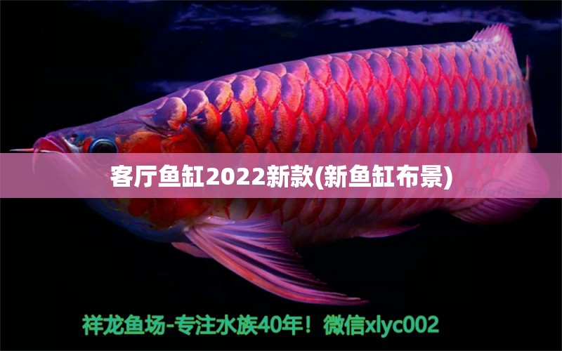 客厅鱼缸2022新款(新鱼缸布景)