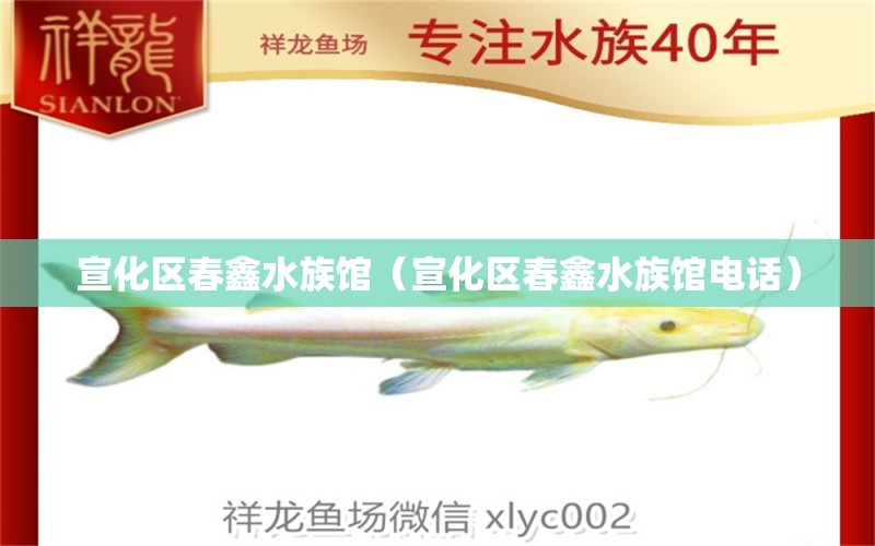 宣化区春鑫水族馆（宣化区春鑫水族馆电话）