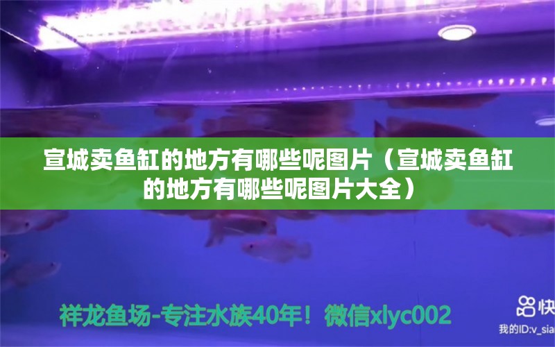 宣城卖鱼缸的地方有哪些呢图片（宣城卖鱼缸的地方有哪些呢图片大全） 祥龙水族医院