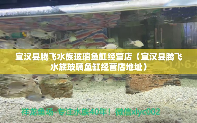 宣汉县腾飞水族玻璃鱼缸经营店（宣汉县腾飞水族玻璃鱼缸经营店地址） 全国水族馆企业名录