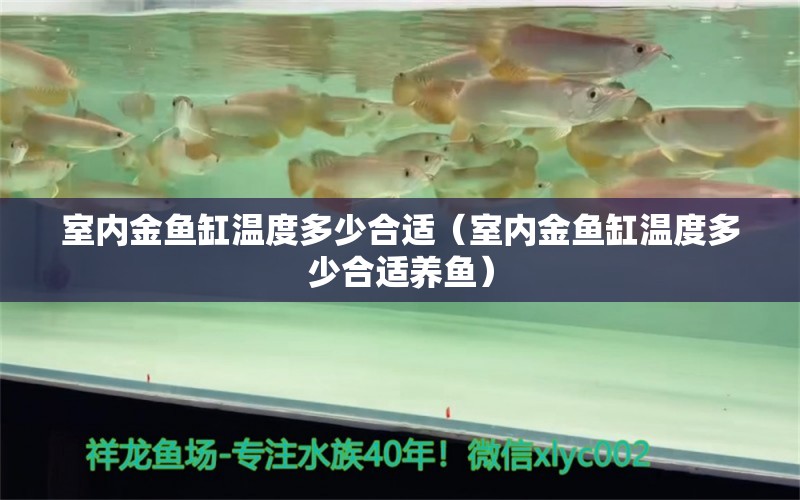 室内金鱼缸温度多少合适（室内金鱼缸温度多少合适养鱼） 祥龙水族医院