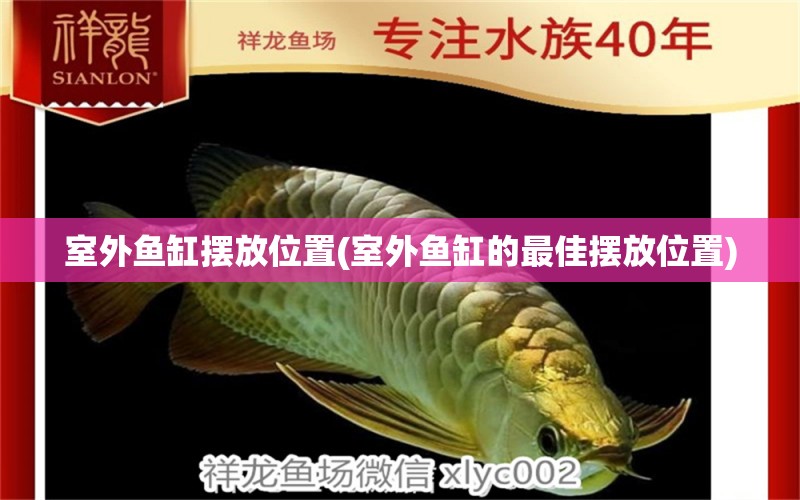 室外鱼缸摆放位置(室外鱼缸的最佳摆放位置) 水族维护服务（上门）