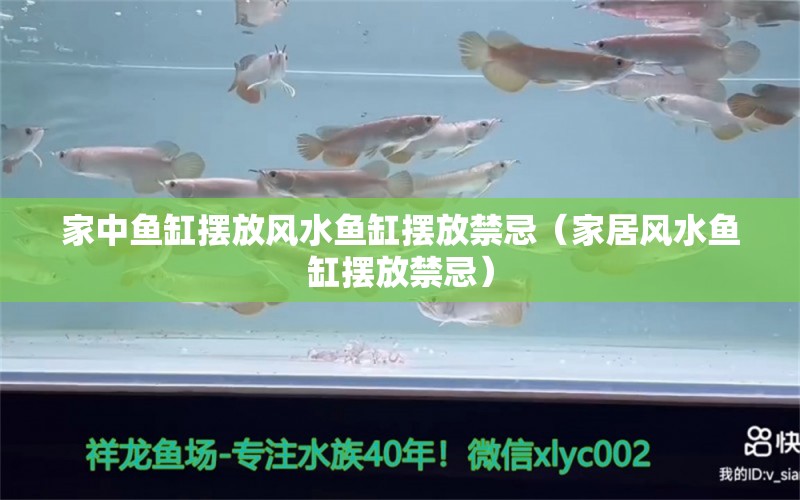 家中鱼缸摆放风水鱼缸摆放禁忌（家居风水鱼缸摆放禁忌）