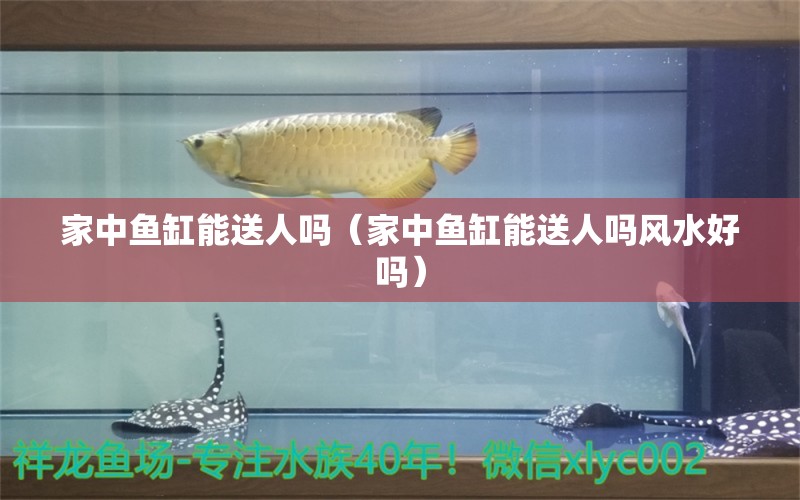 家中鱼缸能送人吗（家中鱼缸能送人吗风水好吗）