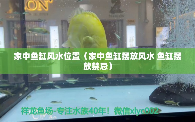 家中鱼缸风水位置（家中鱼缸摆放风水 鱼缸摆放禁忌） 水族周边