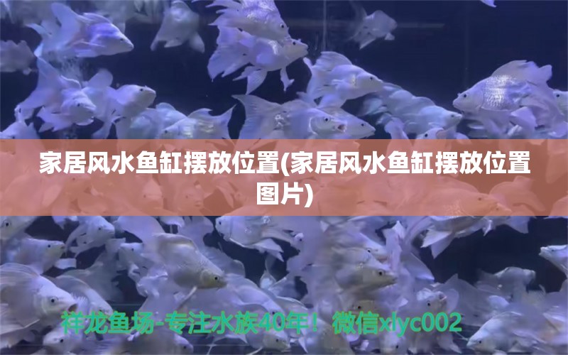 家居风水鱼缸摆放位置(家居风水鱼缸摆放位置图片)