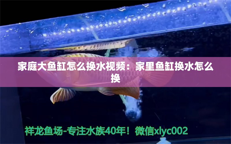 家庭大鱼缸怎么换水视频：家里鱼缸换水怎么换 广州水族批发市场 第1张