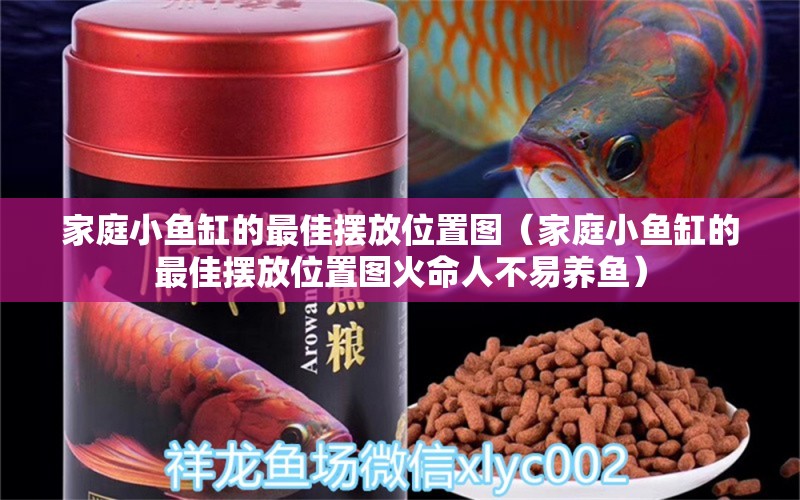 家庭小鱼缸的最佳摆放位置图（家庭小鱼缸的最佳摆放位置图火命人不易养鱼） 观赏鱼 第1张