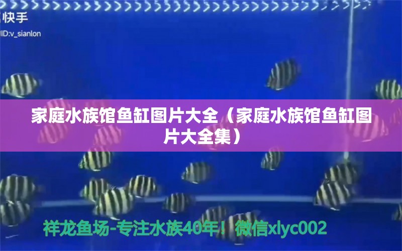 家庭水族馆鱼缸图片大全（家庭水族馆鱼缸图片大全集） 祥龙鱼场