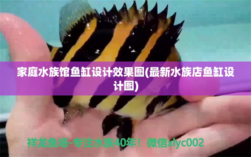 家庭水族馆鱼缸设计效果图(最新水族店鱼缸设计图) 充氧泵 第1张