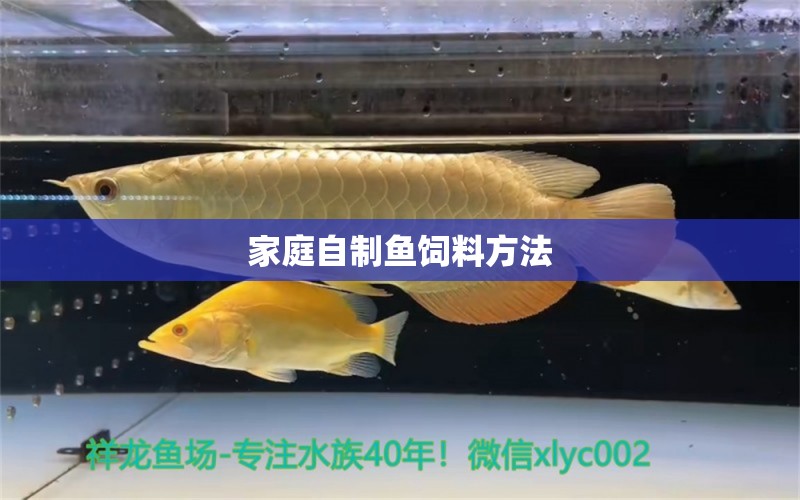 家庭自制鱼饲料方法 水温计 第2张