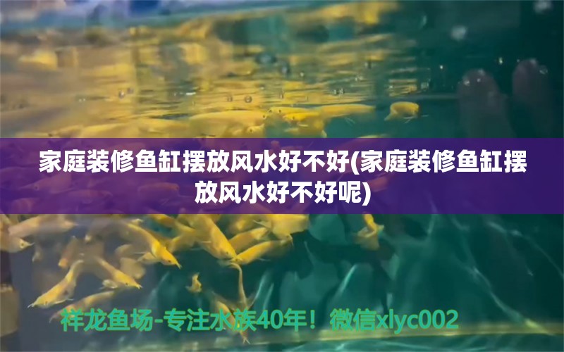 家庭装修鱼缸摆放风水好不好(家庭装修鱼缸摆放风水好不好呢)